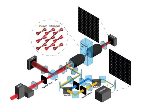 512量子比特！陈根团队突破中性原子体系，量子计算实用化再进一步