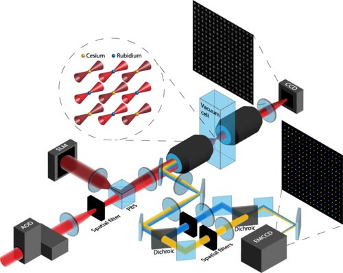 量子计算迈入新时代 科学家成功实现512个量子位的中性原子体系